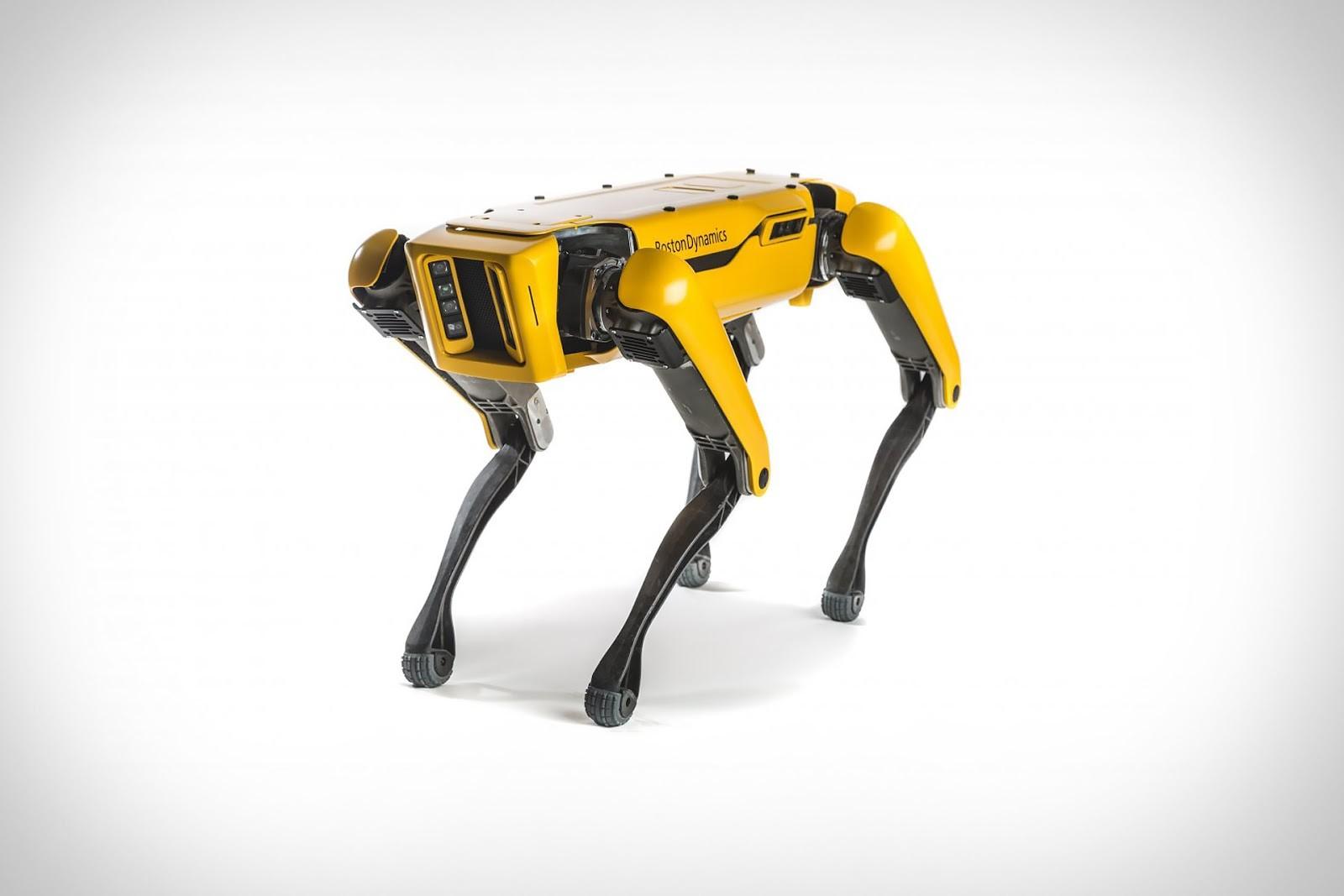 Photographie du robot chien de Boston Dynamics